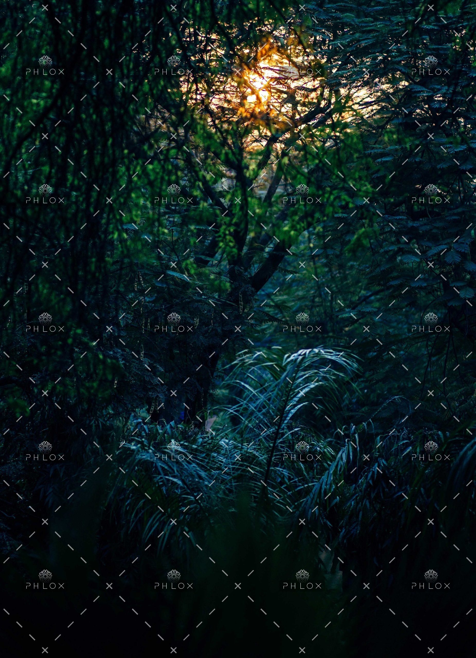 demo-attachment-639-abstract-2181884-scaled