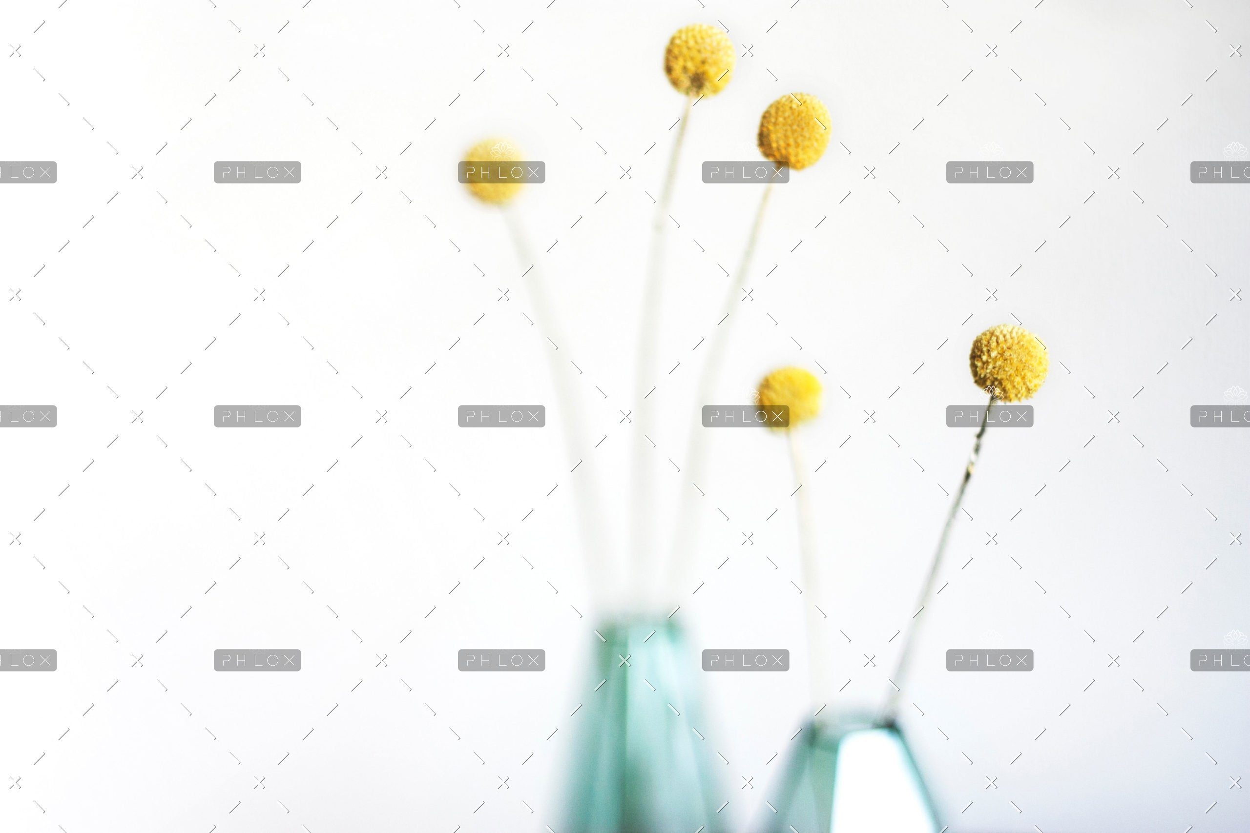 demo-attachment-633-kari-shea-j0dw8kTxgmM-unsplash-scaled